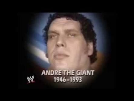 Andre the Giant Documentary | 12 Things Learned (And Facts Left Out!) - The screenshot still WWE put out on Monday Night Raw after the news of Andre's passing. 'Andre the Giant 1946-1993'