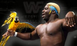 Koko B. Ware and the Tragedy That Befell His Iconic Bird