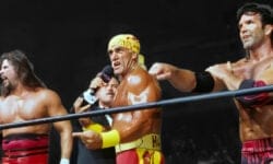 Hulk Hogan Heel Turn and the Fan Who Tried to Attack