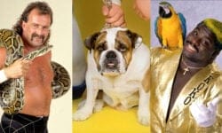 5 Wrestling Animals and Their Chilling Stories Outside the Ring