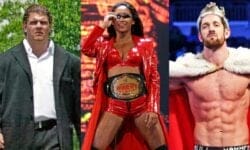 10 Wrestlers Who Didn’t Quite Reach Their Potential in WWE