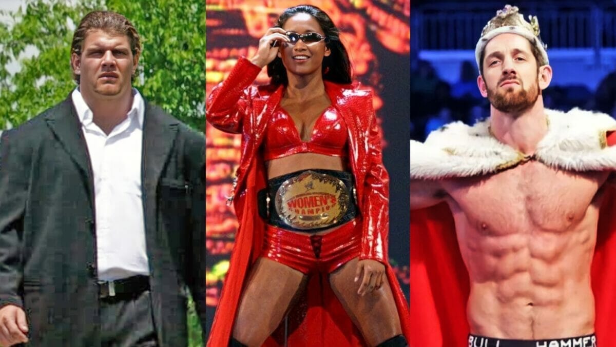 From former champions, Money in the Bank winners, to wrestlers who shared a stable with Hall of Fame superstars, these ten wrestlers had shown promise but were out of a job with WWE before reaching their full potential.